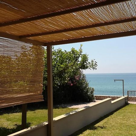 Dip In The Blue - 1 Vila Agios Georgios  Exterior foto